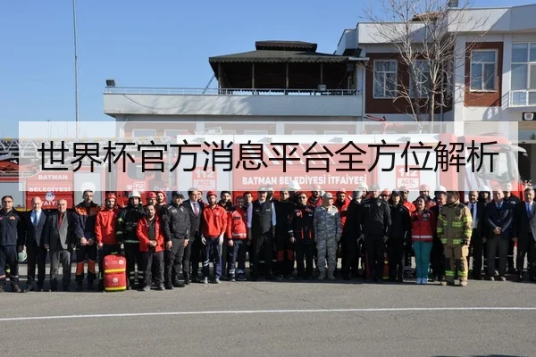 世界杯官方消息平台全方位解析