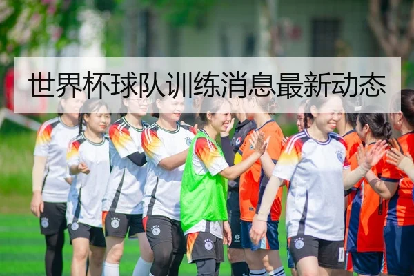 世界杯球队训练消息最新动态