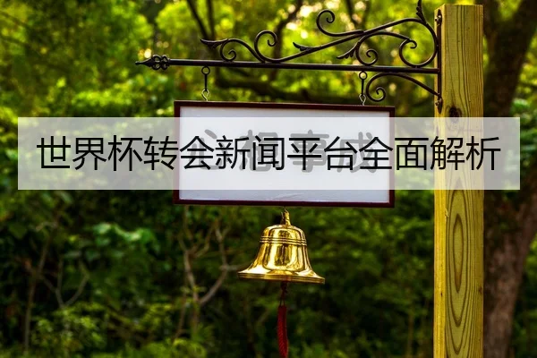 世界杯转会新闻平台全面解析