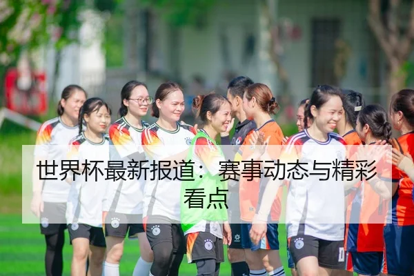 世界杯最新报道：赛事动态与精彩看点